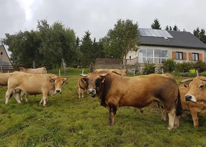 Horizon Aubrac Laguiole